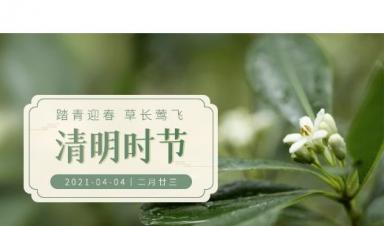 清明節|卓正科技放假通知